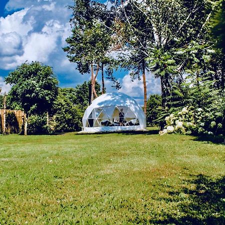 B Our Guest At Your Cozy Hideaway Dome Near Dresden Frauendorf  Εξωτερικό φωτογραφία